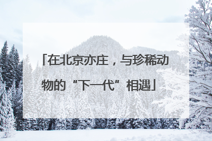 在北京亦庄，与珍稀动物的“下一代”相遇