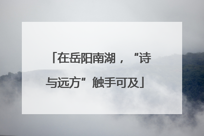 在岳阳南湖，“诗与远方”触手可及