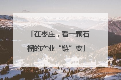 在枣庄，看一颗石榴的产业“链”变