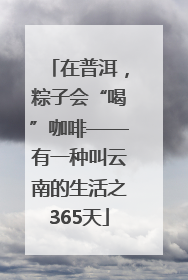 在普洱，粽子会“喝”咖啡——有一种叫云南的生活之365天