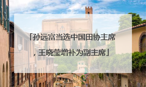 孙远富当选中国田协主席，王晓莹增补为副主席