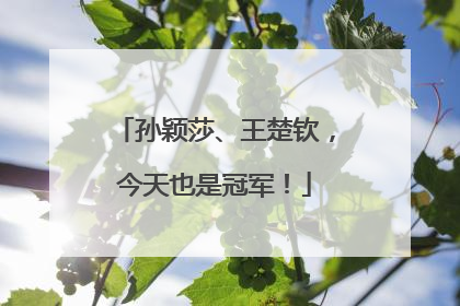孙颖莎、王楚钦，今天也是冠军！