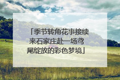 季节转角花事接续 来石家庄赴一场鸢尾绽放的彩色梦境