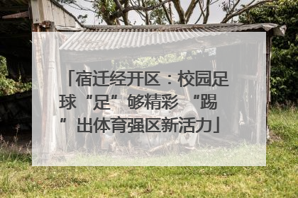 宿迁经开区：校园足球“足”够精彩 “踢”出体育强区新活力