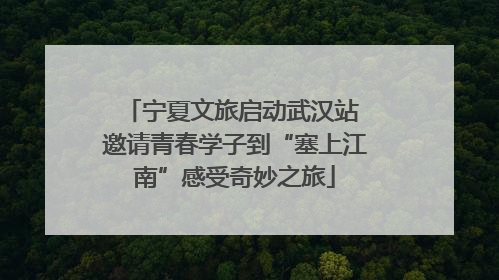 宁夏文旅启动武汉站 邀请青春学子到“塞上江南”感受奇妙之旅