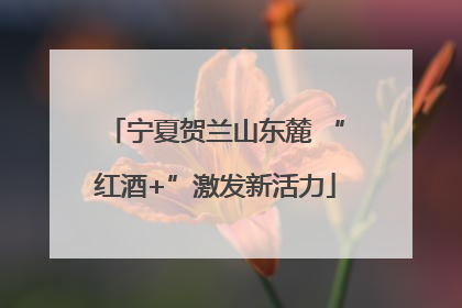 宁夏贺兰山东麓 “红酒+”激发新活力