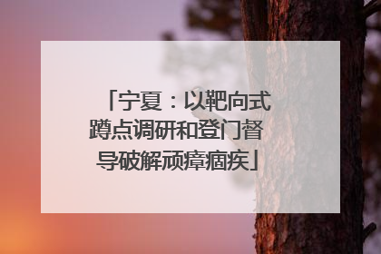 宁夏：以靶向式蹲点调研和登门督导破解顽瘴痼疾