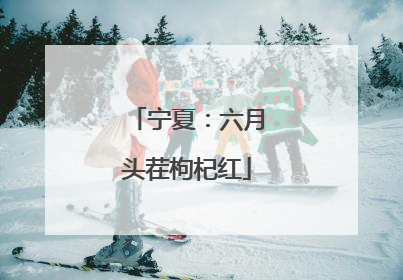 宁夏：六月头茬枸杞红