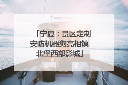 宁夏：景区定制安防机器狗亮相镇北堡西部影城
