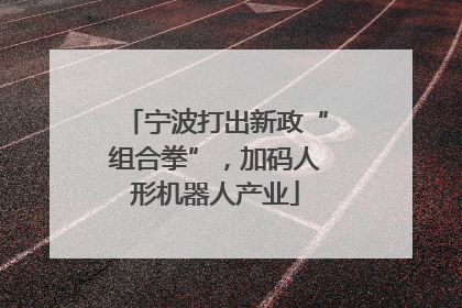 宁波打出新政“组合拳”，加码人形机器人产业