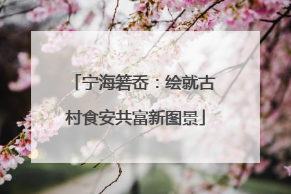 宁海箬岙：绘就古村食安共富新图景