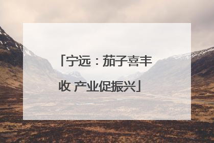 宁远：茄子喜丰收 产业促振兴