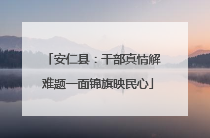 安仁县：干部真情解难题一面锦旗映民心