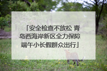 安全检查不放松 青岛西海岸新区全力保障端午小长假群众出行