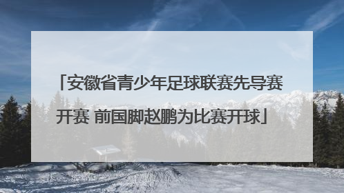 安徽省青少年足球联赛先导赛开赛 前国脚赵鹏为比赛开球
