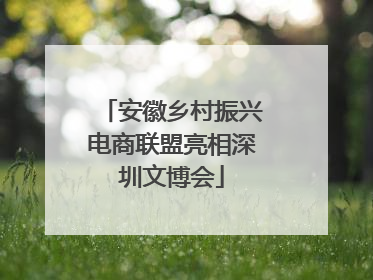 安徽乡村振兴电商联盟亮相深圳文博会