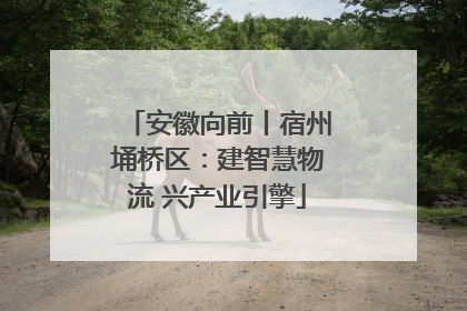 安徽向前丨宿州埇桥区：建智慧物流 兴产业引擎