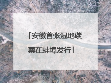 安徽首张湿地碳票在蚌埠发行