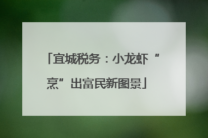 宜城税务：小龙虾“烹”出富民新图景