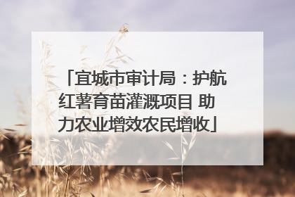 宜城市审计局：护航红薯育苗灌溉项目 助力农业增效农民增收