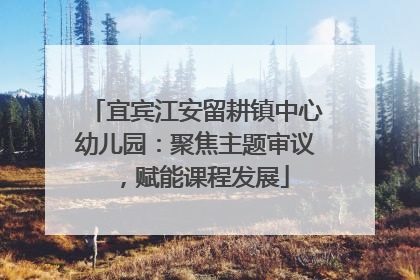 宜宾江安留耕镇中心幼儿园：聚焦主题审议，赋能课程发展