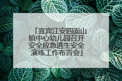 宜宾江安四面山镇中心幼儿园召开安全应急逃生安全演练工作布置会