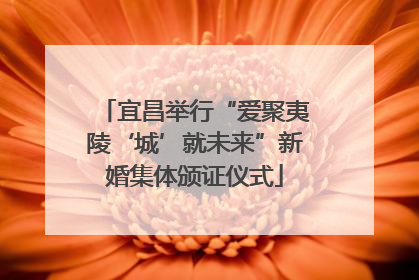 宜昌举行“爱聚夷陵‘城’就未来”新婚集体颁证仪式