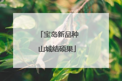 宝岛新品种 山城结硕果