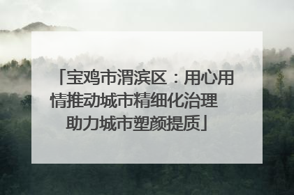 宝鸡市渭滨区：用心用情推动城市精细化治理 助力城市塑颜提质