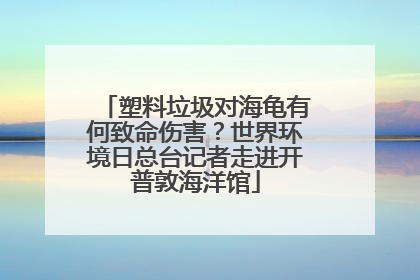 塑料垃圾对海龟有何致命伤害？世界环境日总台记者走进开普敦海洋馆