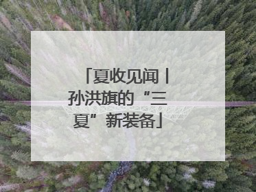 夏收见闻丨孙洪旗的“三夏”新装备