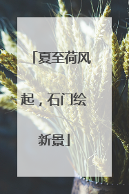 夏至荷风起，石门绘新景