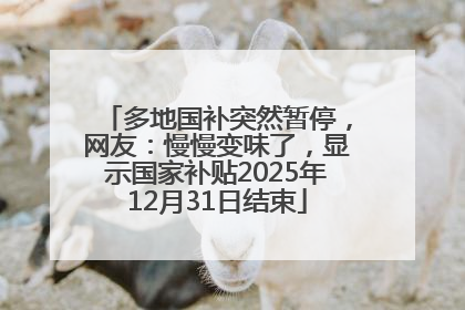 多地国补突然暂停，网友：慢慢变味了，显示国家补贴2025年12月31日结束