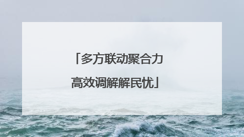 多方联动聚合力 高效调解解民忧