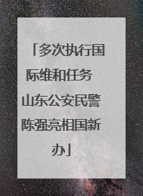 多次执行国际维和任务 山东公安民警陈强亮相国新办
