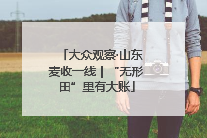 大众观察·山东麦收一线｜“无形田”里有大账