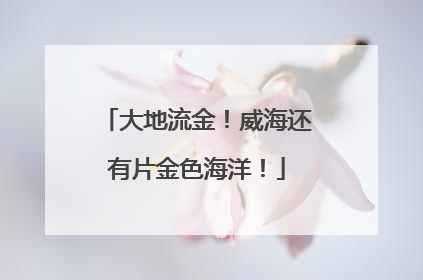 大地流金！威海还有片金色海洋！