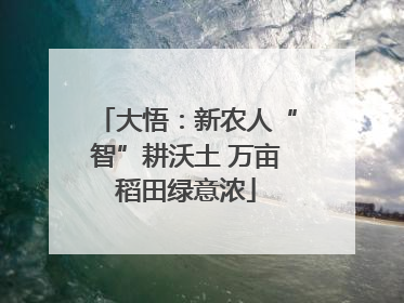 大悟：新农人“智”耕沃土 万亩稻田绿意浓