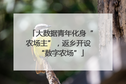 大数据青年化身“农场主”，返乡开设“数字农场”