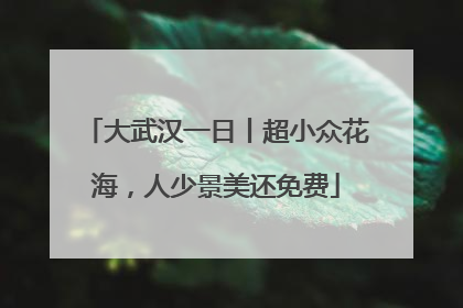 大武汉一日丨超小众花海，人少景美还免费
