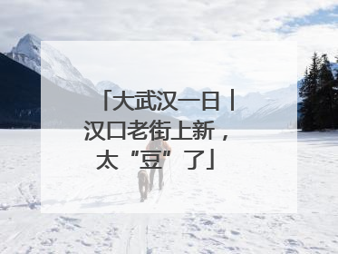 大武汉一日︱汉口老街上新，太“豆”了