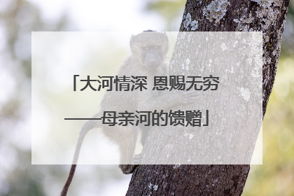 大河情深 恩赐无穷——母亲河的馈赠