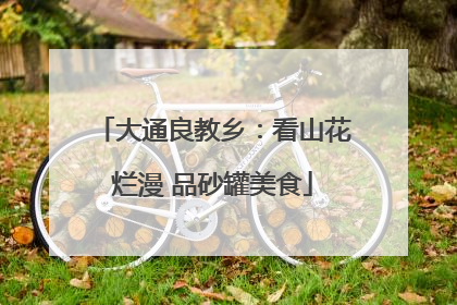 大通良教乡：看山花烂漫 品砂罐美食