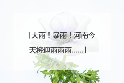 大雨！暴雨！河南今天将迎雨雨雨……