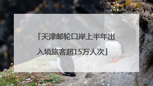 天津邮轮口岸上半年出入境旅客超15万人次