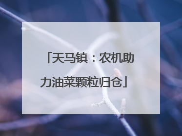 天马镇：农机助力油菜颗粒归仓