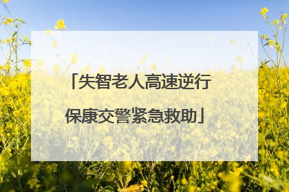 失智老人高速逆行 保康交警紧急救助