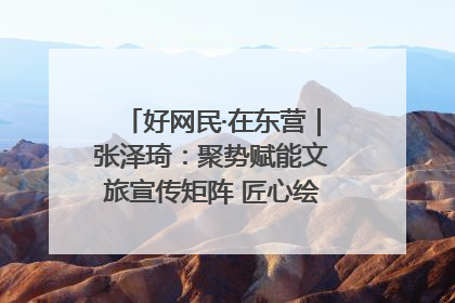 好网民·在东营｜张泽琦：聚势赋能文旅宣传矩阵 匠心绘就东营诗与远方