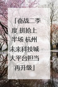 奋战二季度 拼抢上半场 杭州未来科技城大平台担当再升级