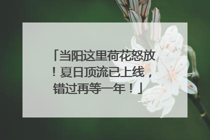 当阳这里荷花怒放！夏日顶流已上线，错过再等一年！